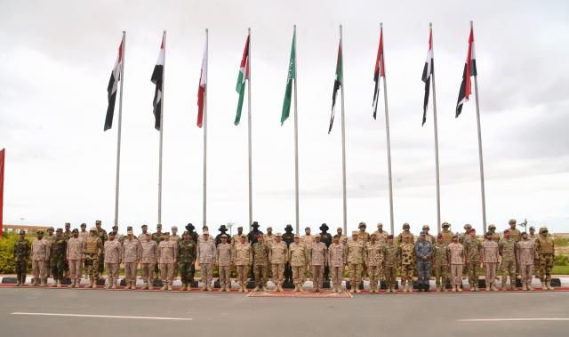 بوابة المصريين