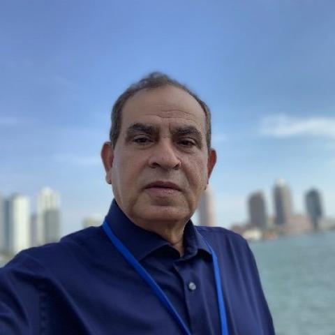 بوابة المصريين