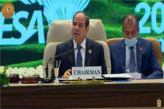 حزب ”المصريين“: رئاسة مصر للكوميسا تفتح فرص التكامل الاقتصادي بين دول أفريقيا