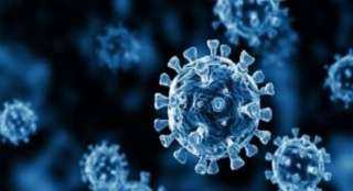 الصحة: تسجيل 901 حالة إيجابية جديدة بفيروس كورونا.. و31 حالة وفاة