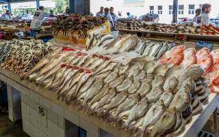 أسعار الأسماك اليوم الثلاثاء 24 مايو فى الأسواق