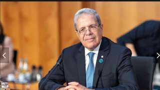 تونس: واثقون في قدرة الليبيين على التوافق لتنظيم الاستحقاقات الانتخابية