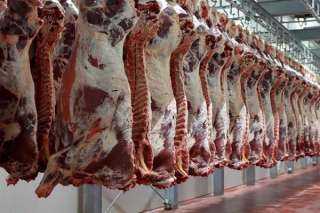 أسعار اللحوم اليوم الخميس 26 يناير 2023