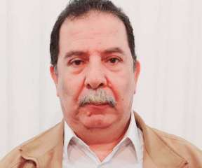 هشام بيومي يكتب.. شجرة البلوط