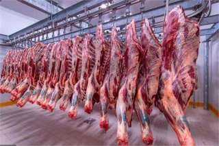 اللحوم والحديد يتصدران قائمة أهم الواردات المصرية من الهند في 2022