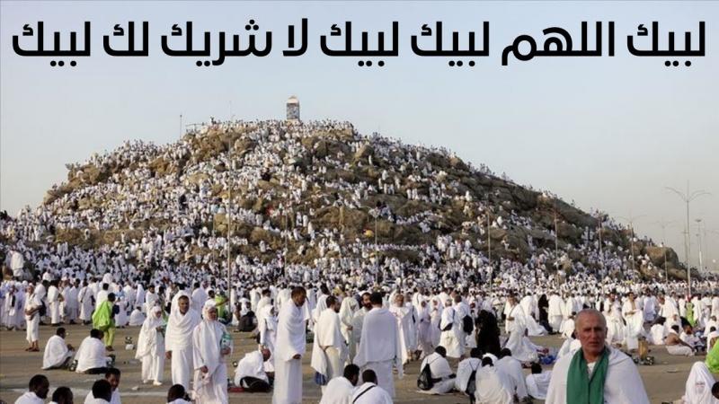 بوابة المصريين