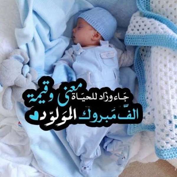 بوابة المصريين