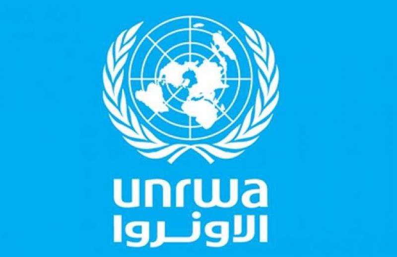 بوابة المصريين