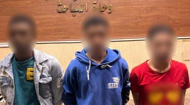 أمن القاهرة يكشف كواليس اختطاف سيدة والتعدي عليها بالضرب في عين شمس