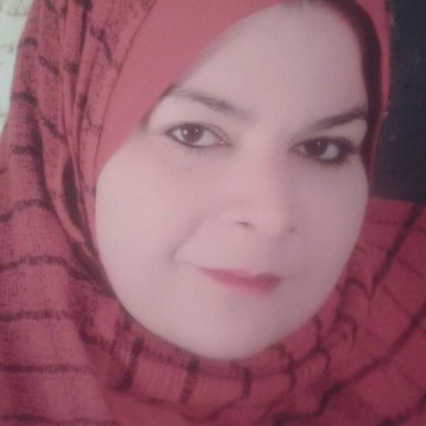 بوابة المصريين