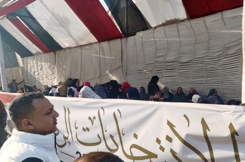 الشباب والسيدات يتصدرون الصفوف بلجان مدرسة وردان بمنشأة القناطر