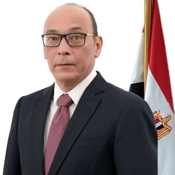 محمد نافع، مساعد رئيس حزب "المصريين"