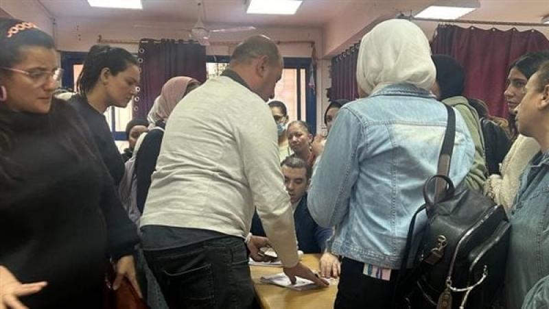 بوابة المصريين