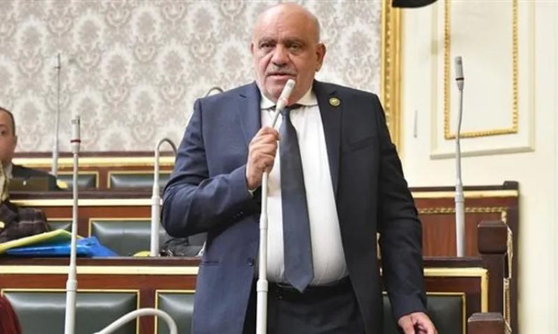 النائب سيد حنفي