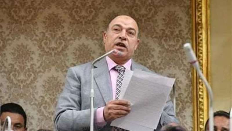 النائب حسن المير