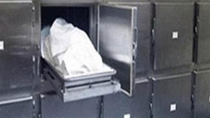 صورة ارشيفيه