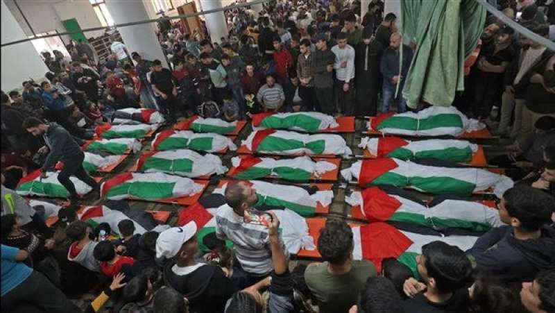 عدد من الشهداء في غزة