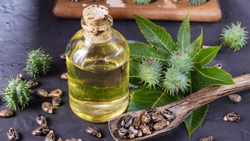 زيت الخروع للشعر