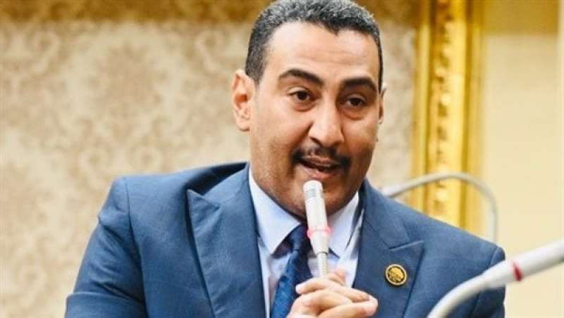 النائب محمد الجبلاوي