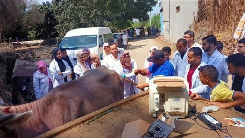 قافلة بيطرية