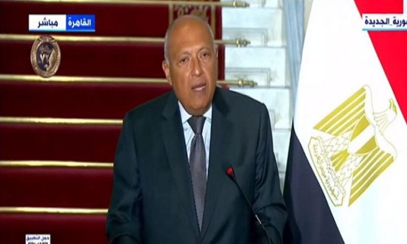 سامح شكري وزير الخارجية