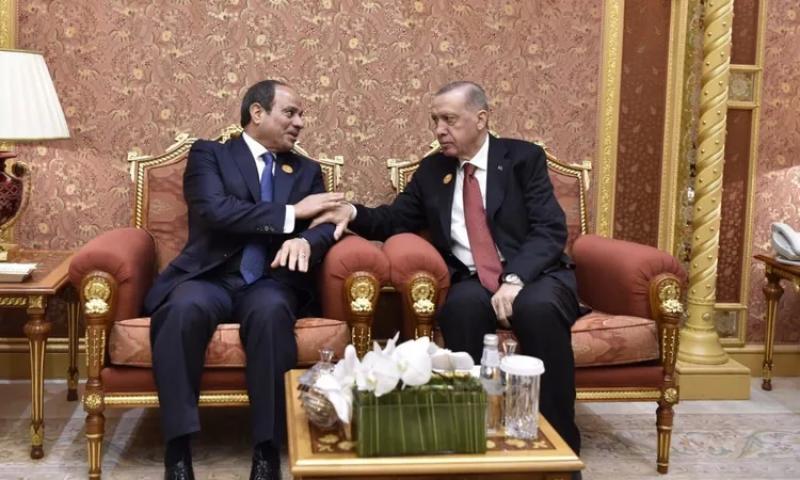 الرئيس السيسي ورئيس تركيا