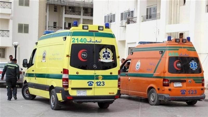 وفاة إندونيسية وطفلها داخل شقة بمدينة بدر،فيتو