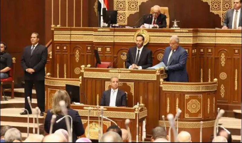 مجلس الشيوخ المصري