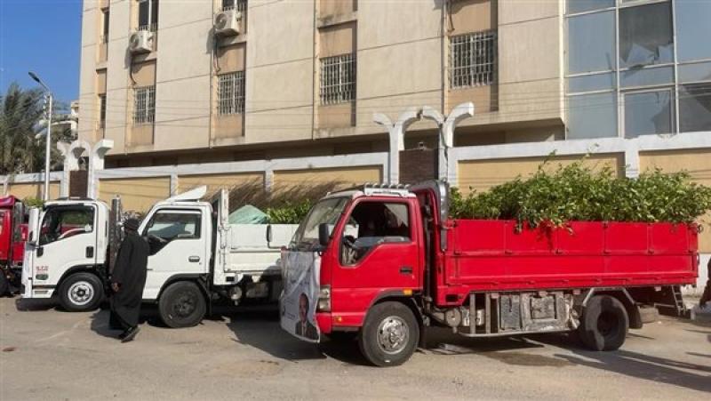 توزيع 51 ألف و500 شجرة لغرسها