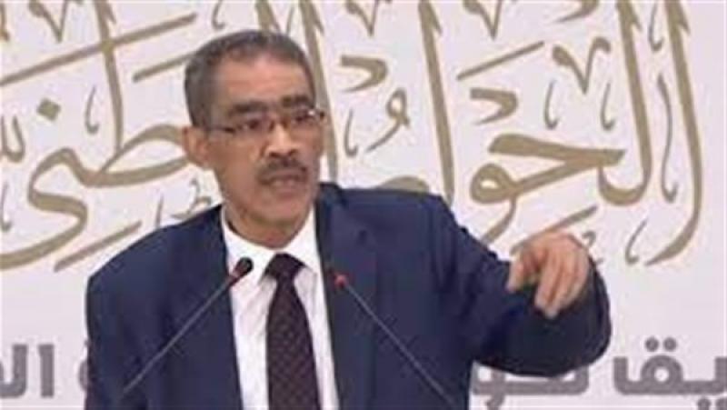 ضياء رشوان، المنسق العام للحوار الوطني