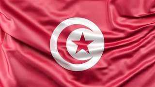 تونس تعلن إنقاذ 63 مهاجرًا غير شرعي.. وانتشال جثة