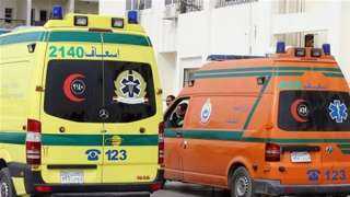 تفاصيل إصابة 5 أشخاص في تصادم سيارتين في الشيخ زايد