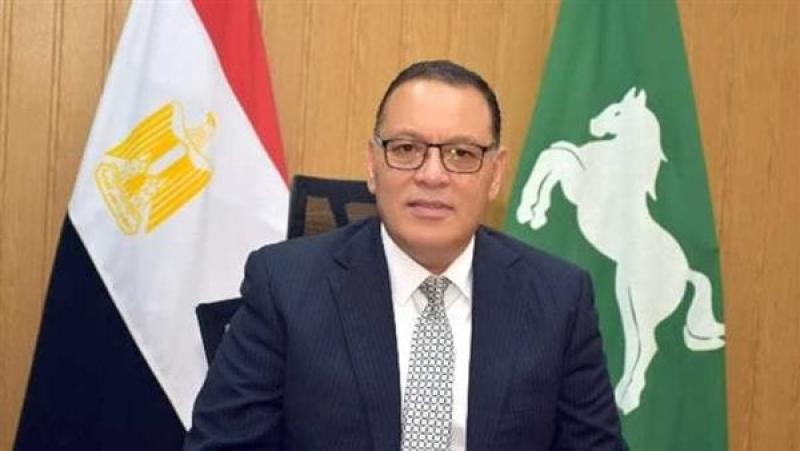 بوابة المصريين