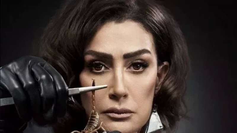بوابة المصريين