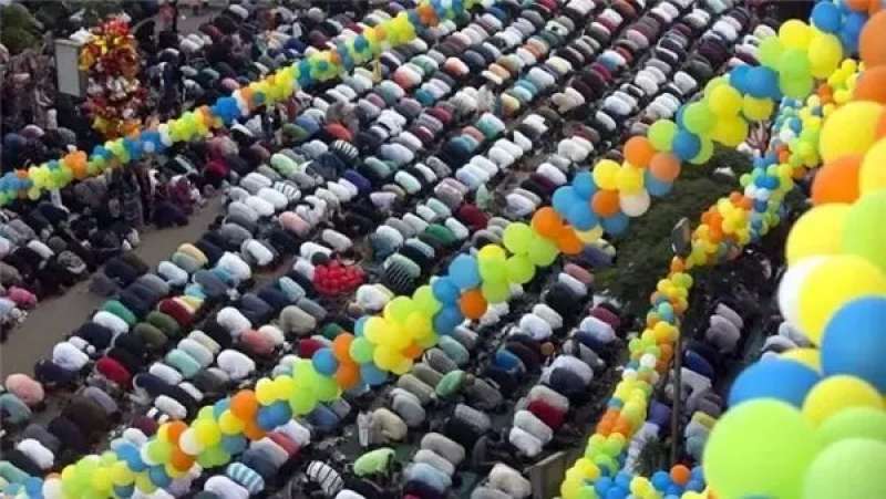 بوابة المصريين