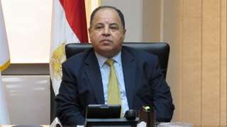 المالية: حريصون على توطين صناعة السيارات الكهربائية في مصر