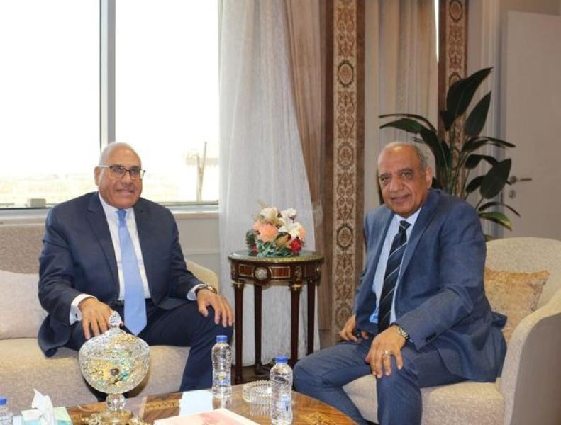 بوابة المصريين