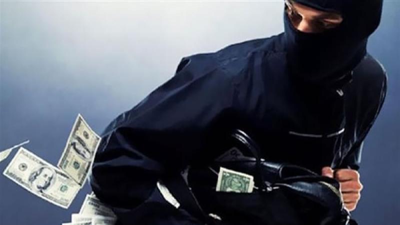 انتشار السرقات
