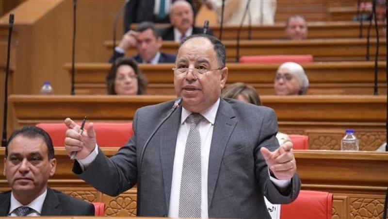 وزير المالية أمام جلسة النواب،فيتو