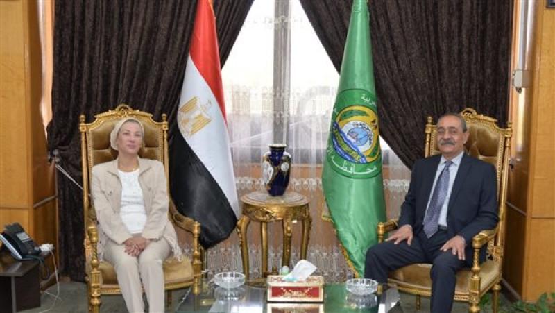 بوابة المصريين