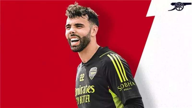 ديفيد رايا