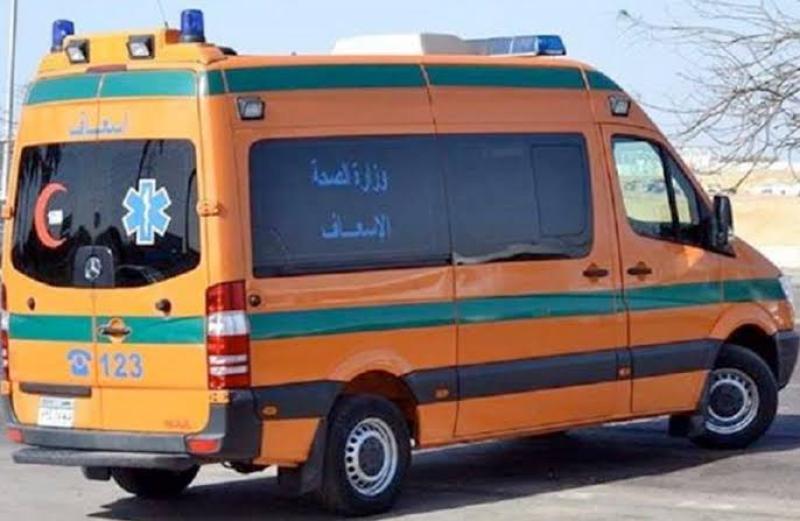 بوابة المصريين