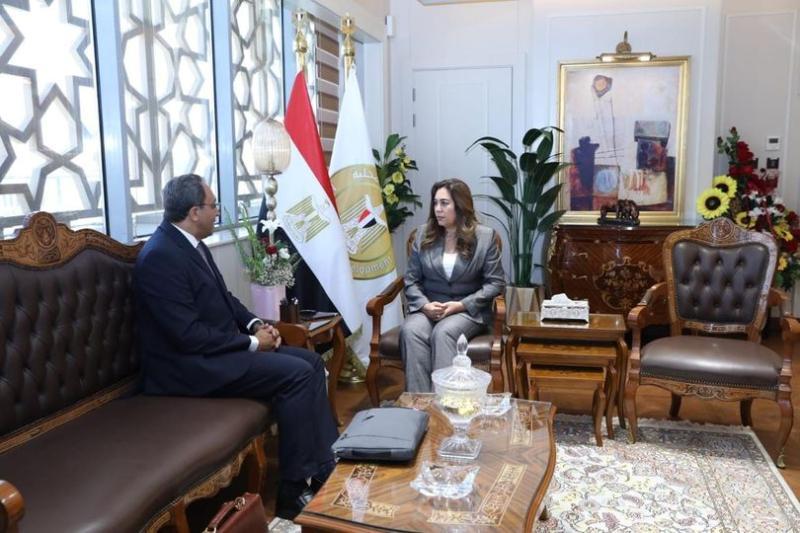 بوابة المصريين