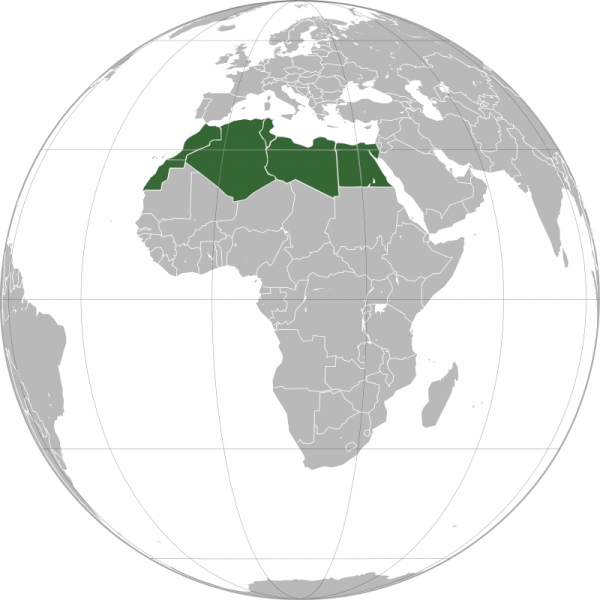بوابة المصريين