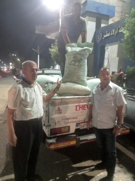 بوابة المصريين