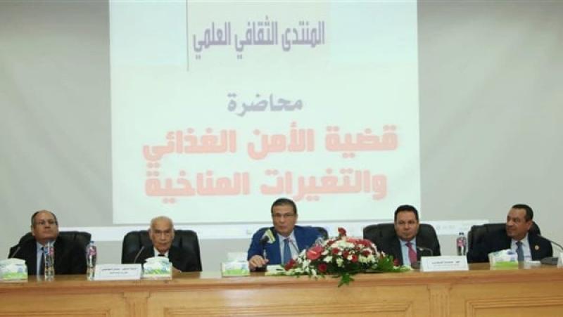 بوابة المصريين