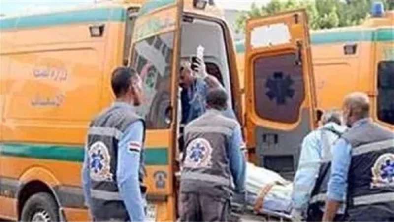 بوابة المصريين