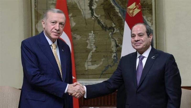 السيسي وأردوغان