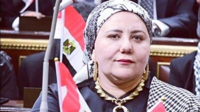 النائبة منال نصر