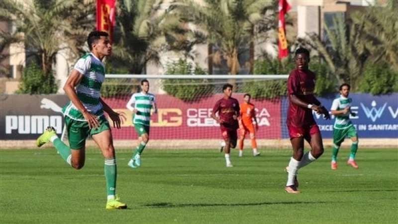 دوري المحترفين